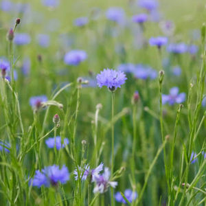 Meet your Posher, Julian